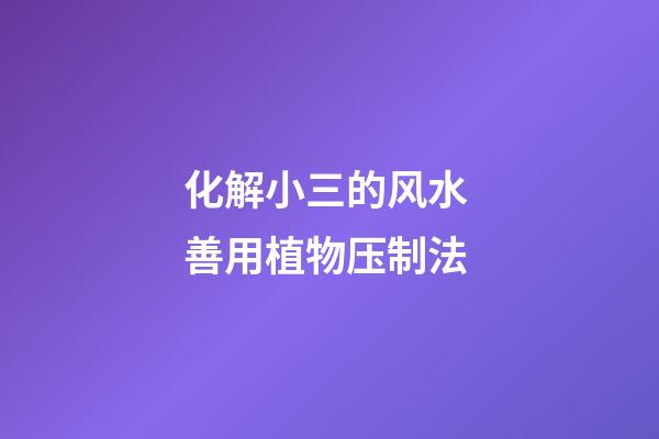 化解小三的风水 善用植物压制法